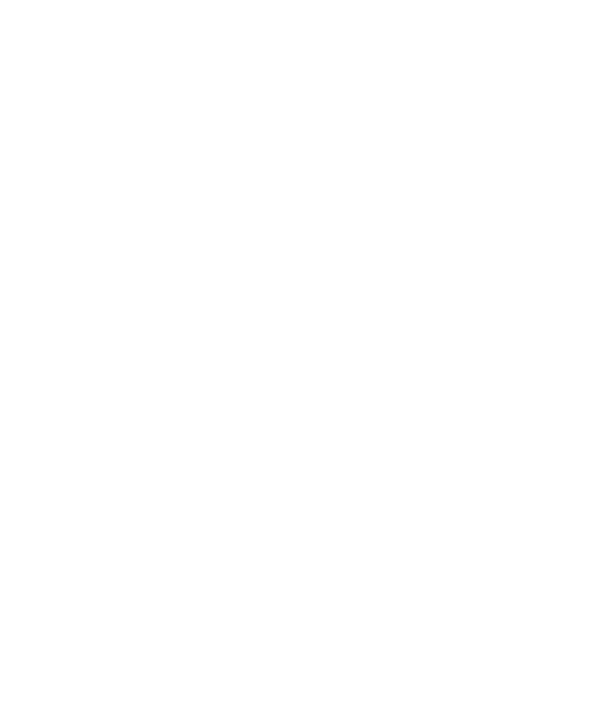 RapidAir